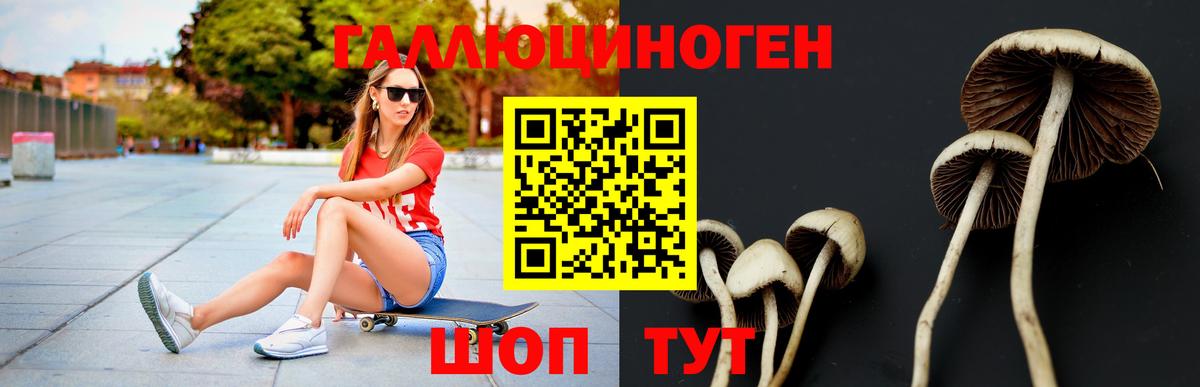 Псилоцибиновые грибы мухоморы  купить наркотики сайты  Галлюциногенные грибы Cubensis  Сухой Лог  Вход с VPN 